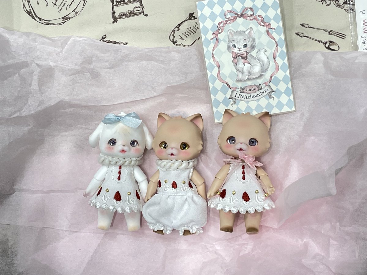 ユエ-アイドール東京R48 tweet media