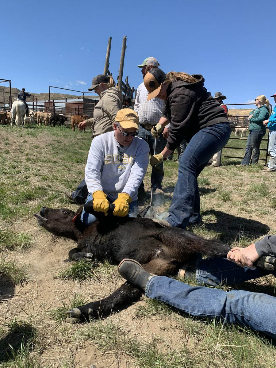 TheLaughinPlace tweet media