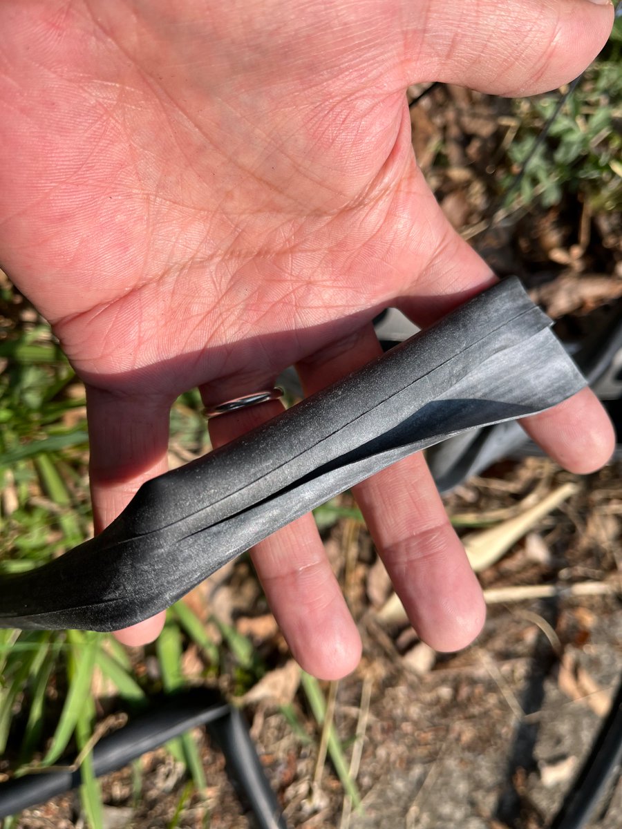 堕天使ももんが tweet media