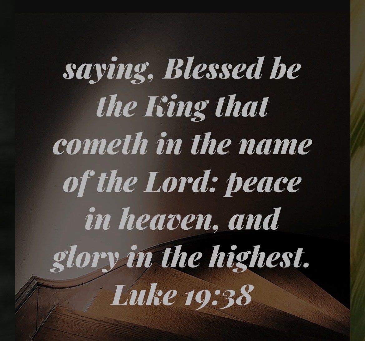 Ray Austin tweet media