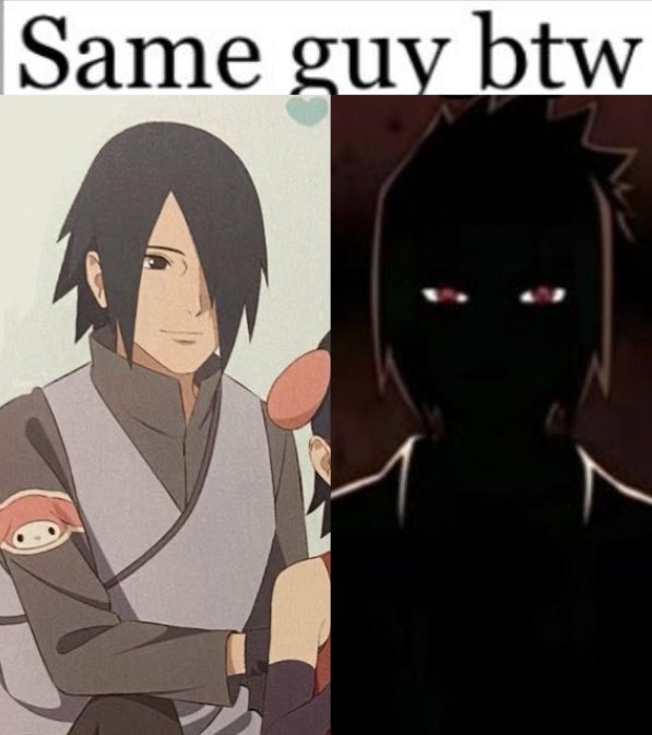 Selejae ⋆ Saku day! tweet media