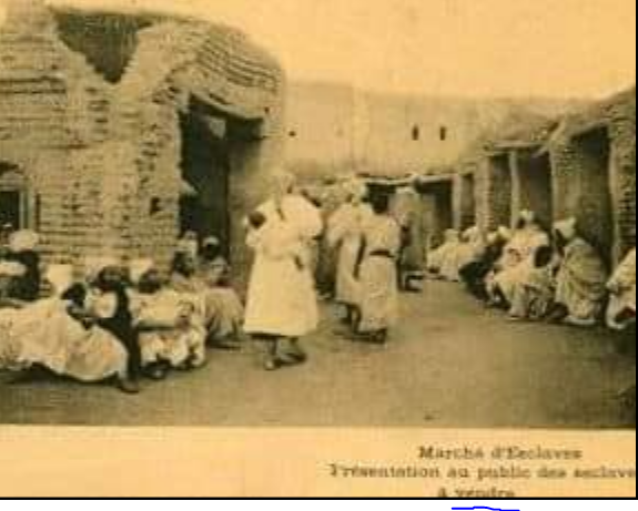 Khali Birdoss tweet media