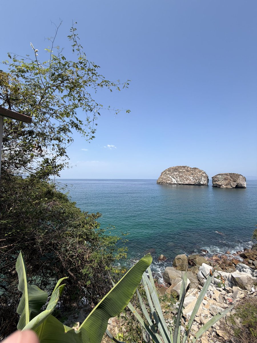 ☭ uncshi🔻 tweet media