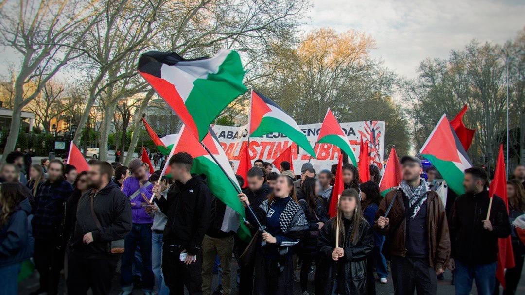 Madrid CJS tweet media