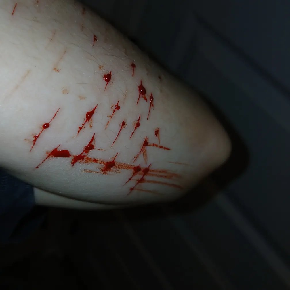 yatta of shedtwt tweet media