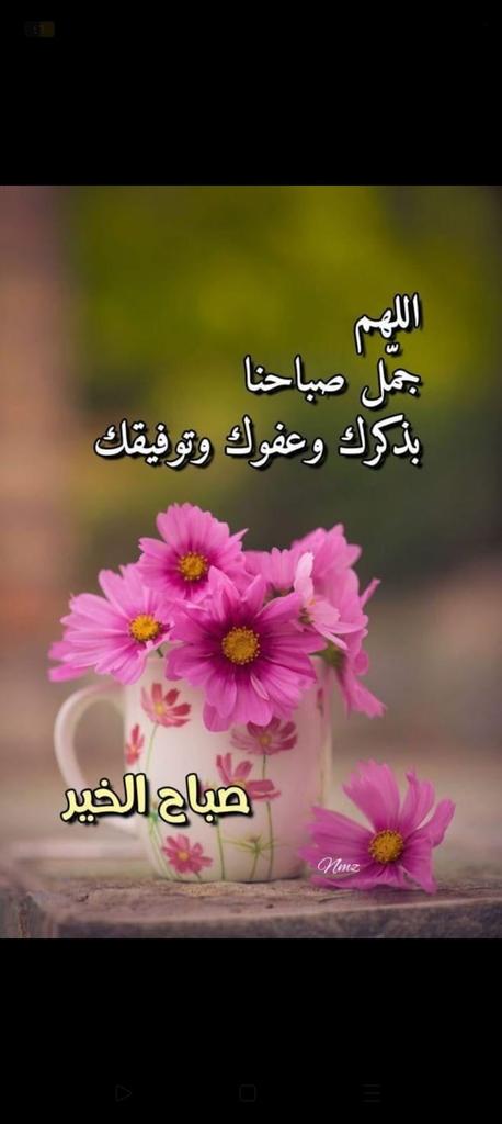 الفريسي tweet media