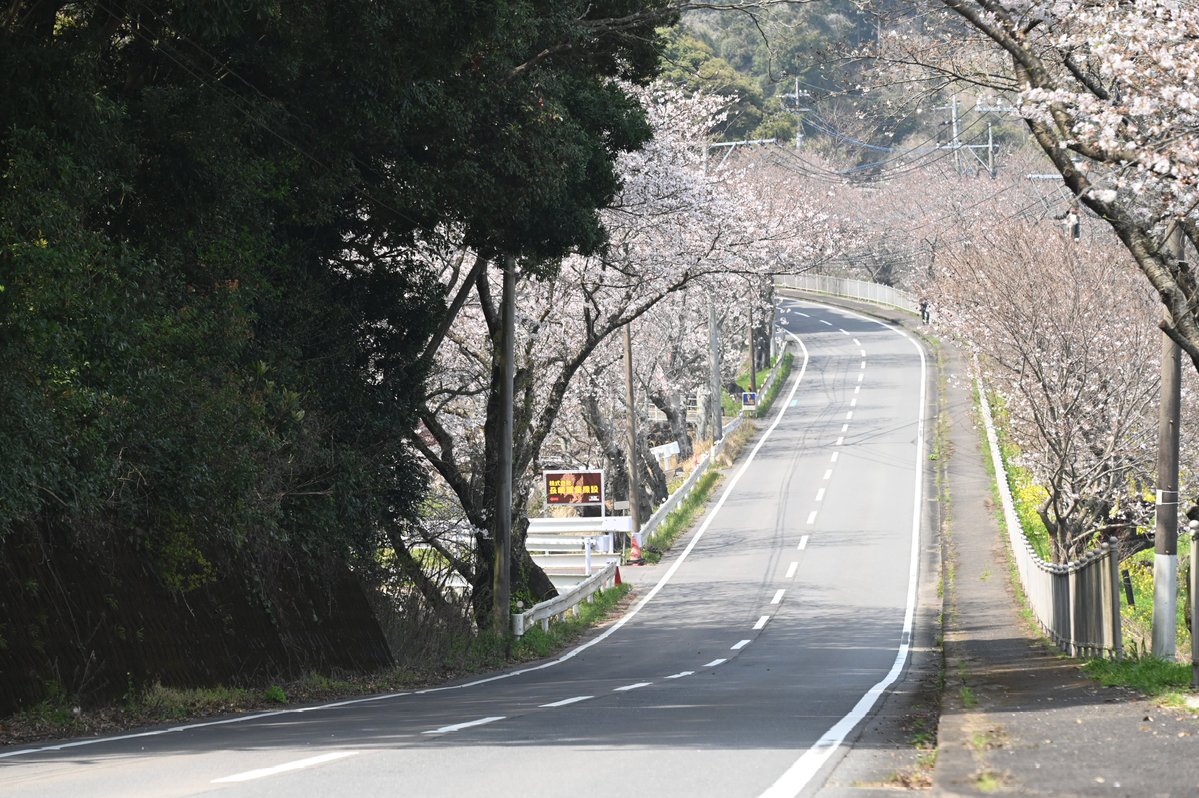 ほむほむ＊ tweet media