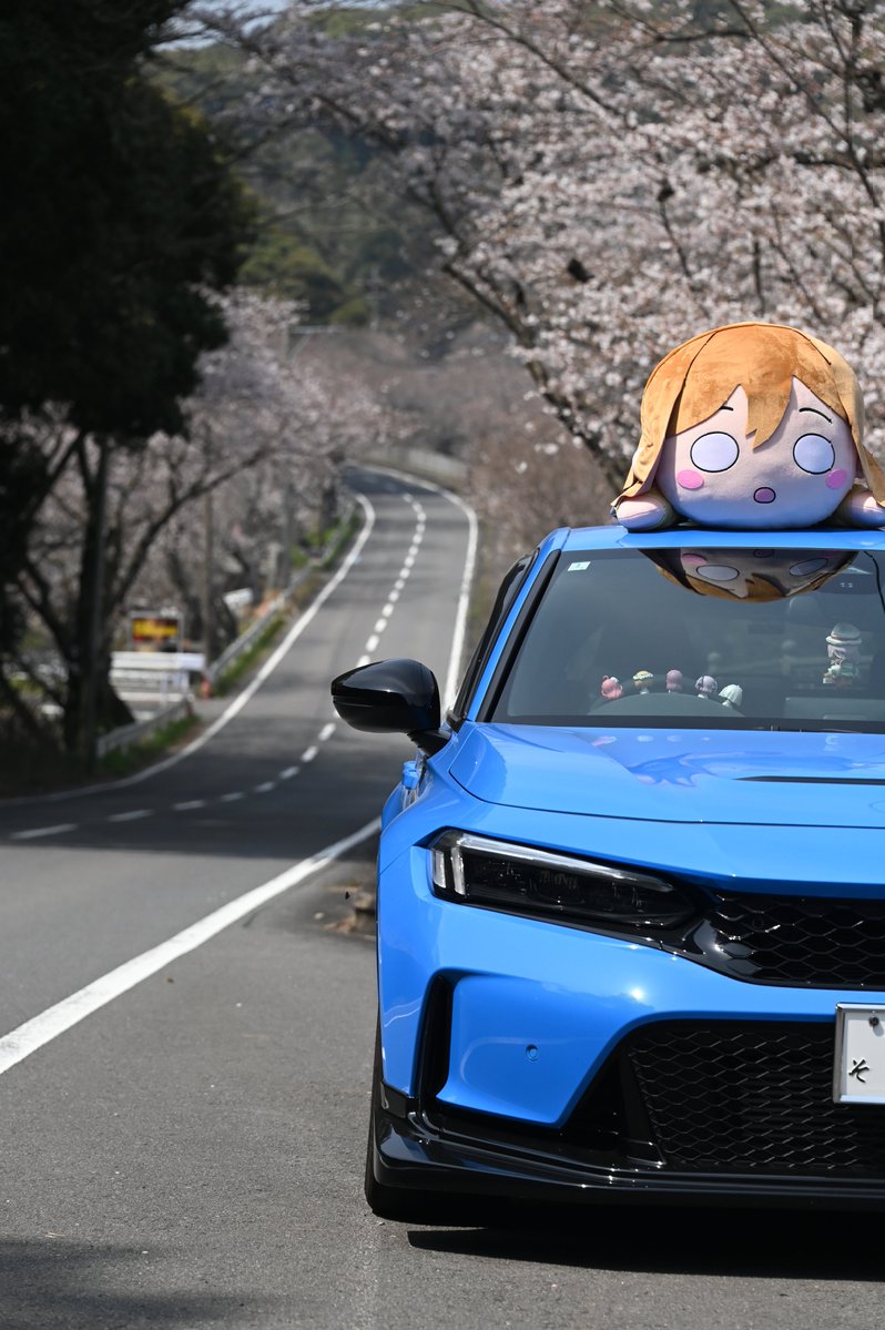 ほむほむ＊ tweet media