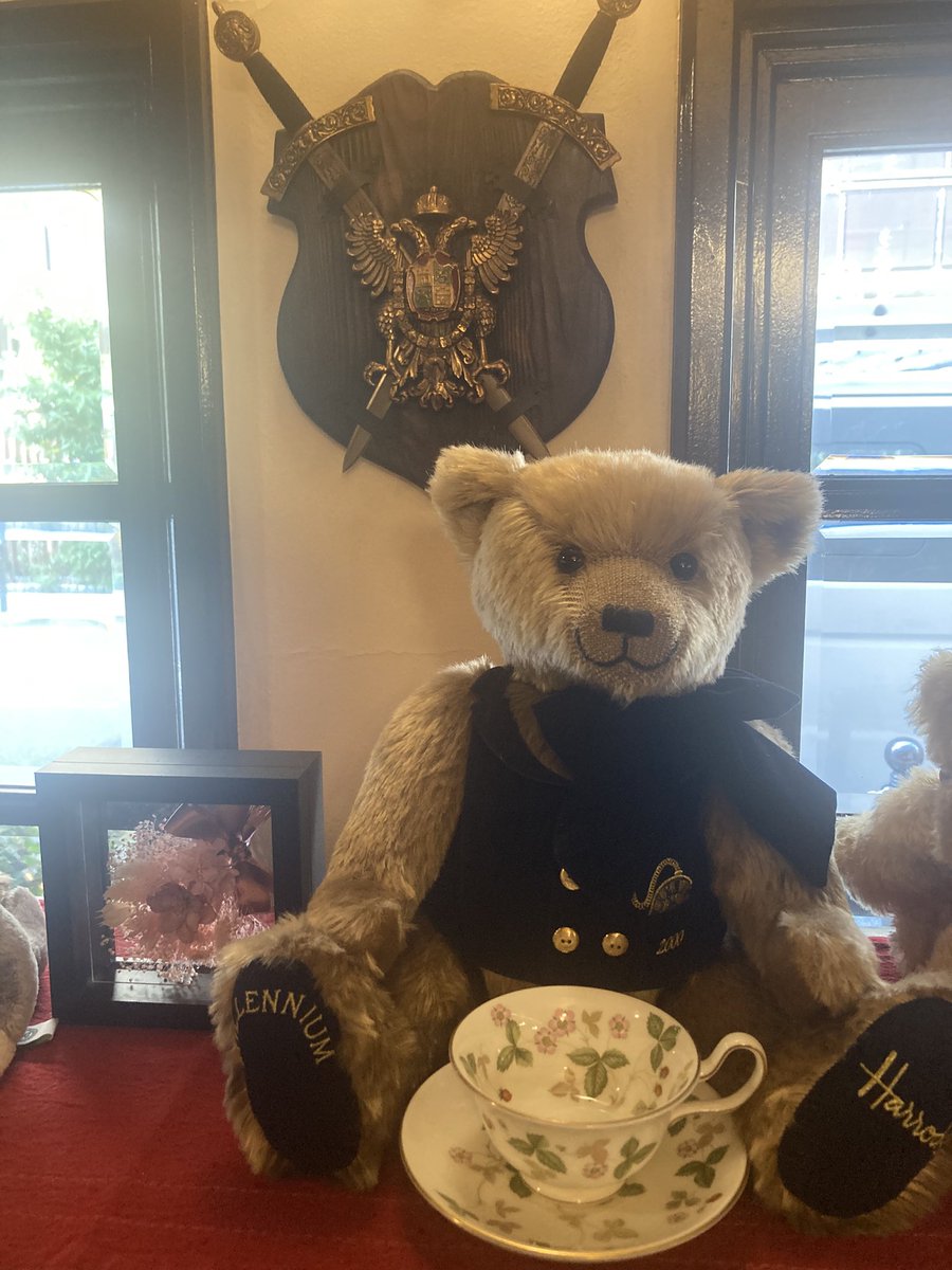 太陽神𝕏YOK tweet media