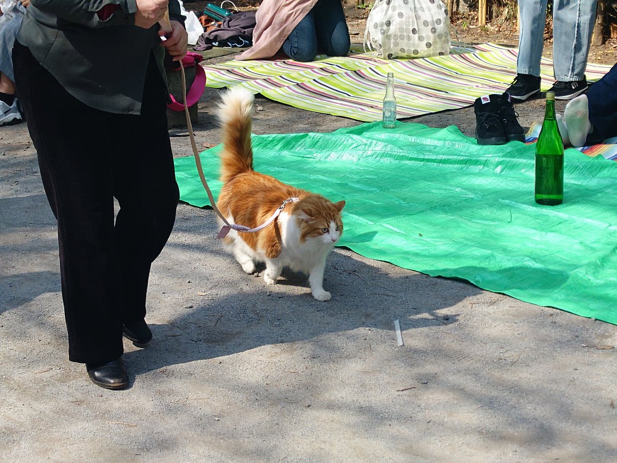 しんたろろ tweet media