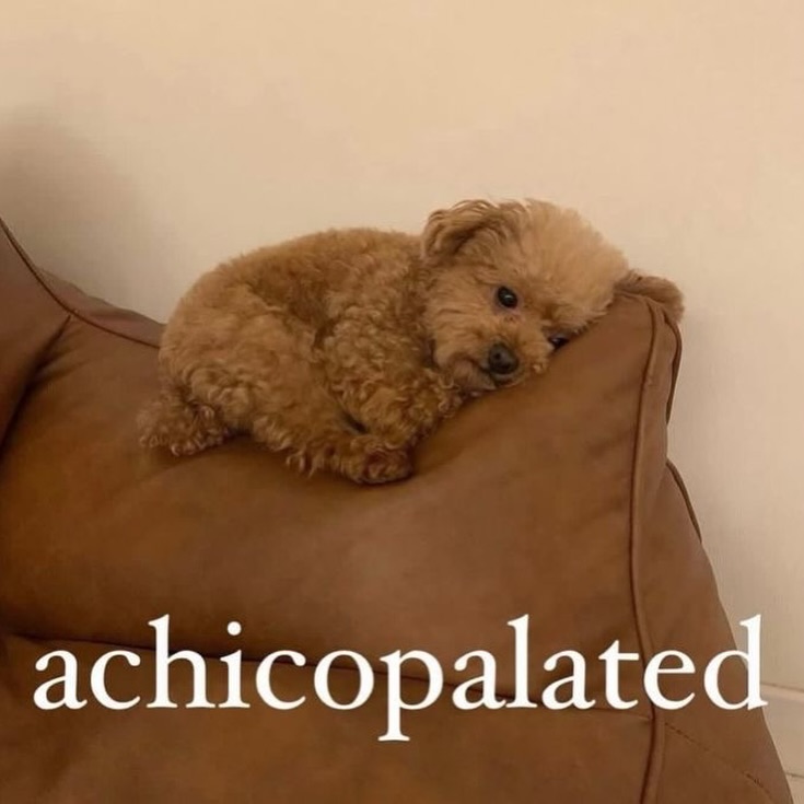 Ojos color sol tweet media