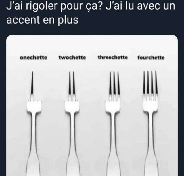 Elisabeth Bonnefond🐶🕊️🐰🐝 tweet media