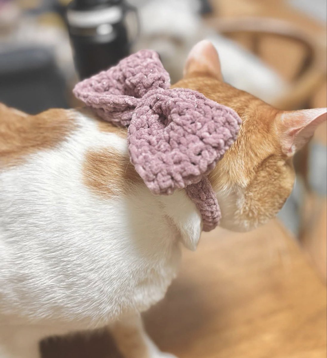 しばらくDMしかしない人 tweet media