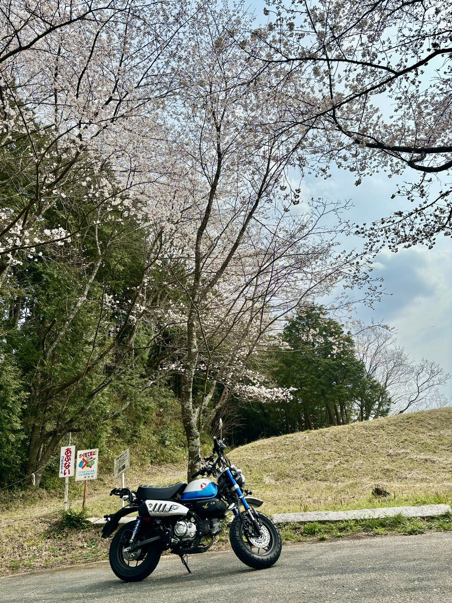 やまこ tweet media