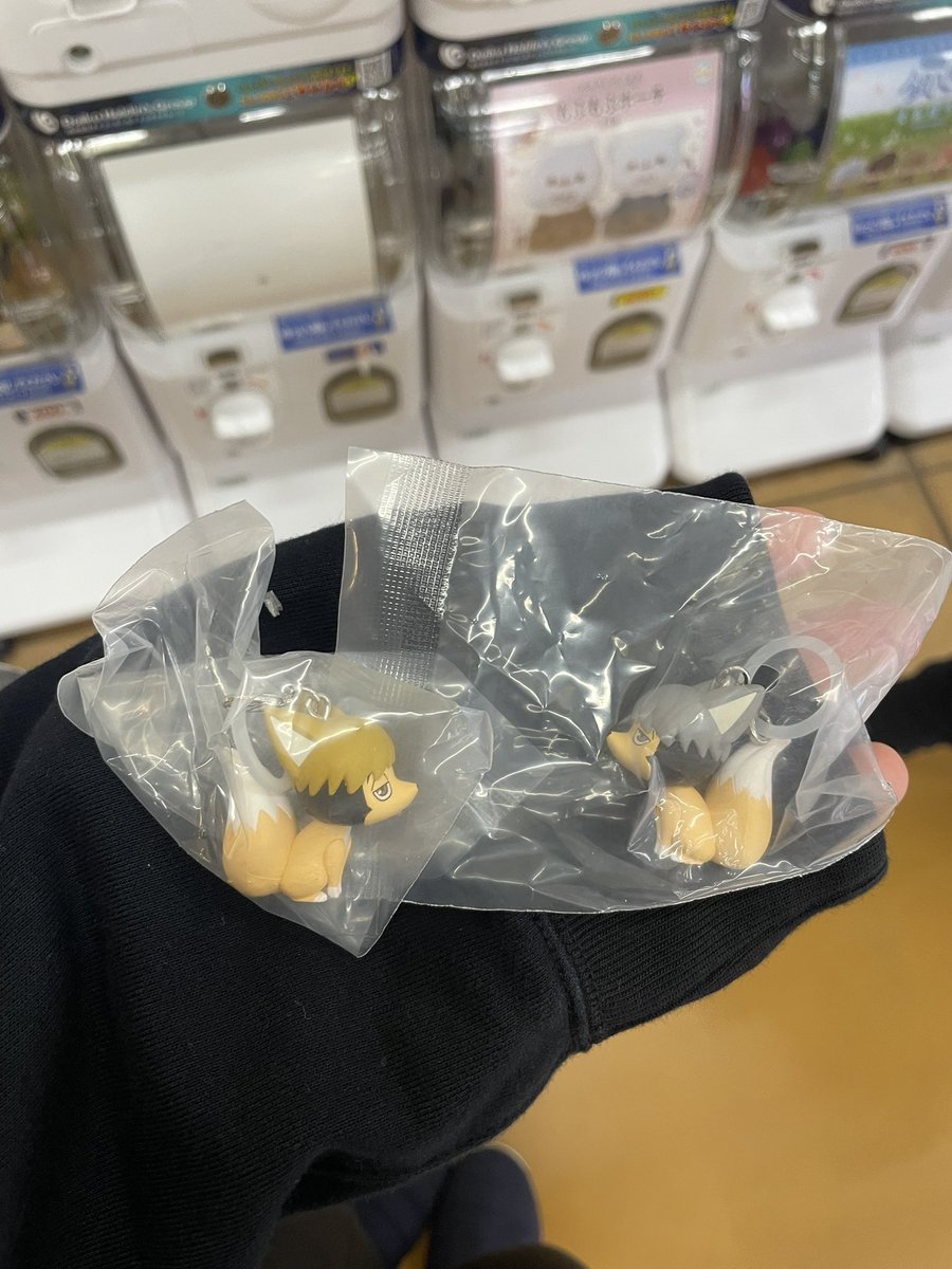 sen120701's tweet photo. @torihiki0819 初めまして、検索よりお声がけ失礼いたします。当方、ツムキツネとサムキツネ所持しております。ツムキツネと2:2での交換は可能でしょうか？
ご検討よろしくお願いいたします🙇🏻‍♀️
出先のためID無し画像失礼いたします💦 https://t.co/46ZeKwuzWl