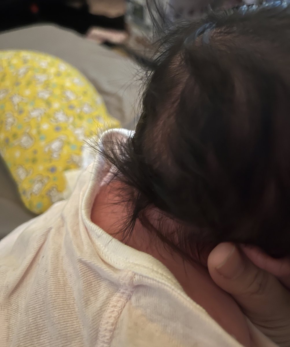 佐野よるむ tweet media