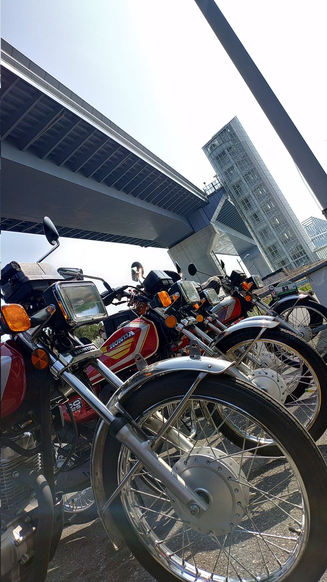 ウラちゃん@みゃーらくもん tweet media