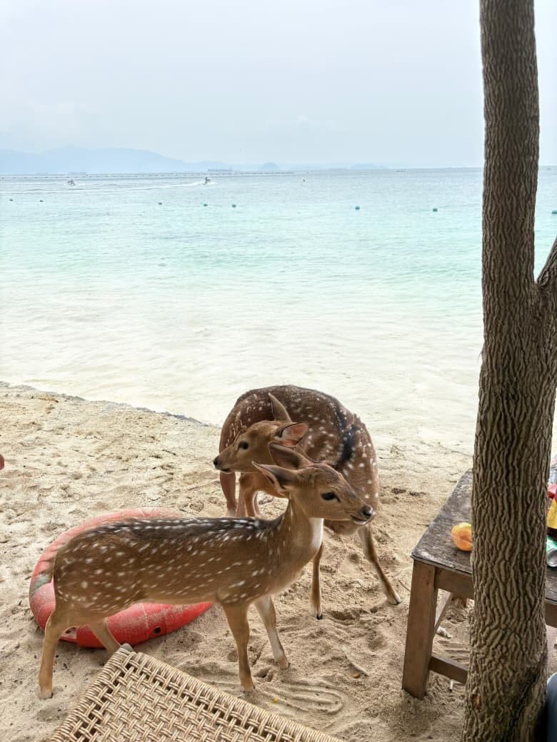 Hanif | AI For Productivity tweet media