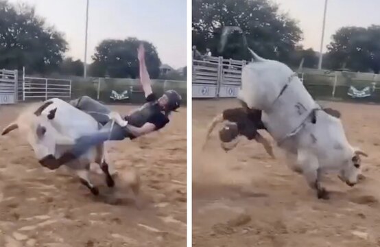 He's Done For: Angry Bull Just Eliminated This Dude! worldstar.com/videos/wshhgm1…