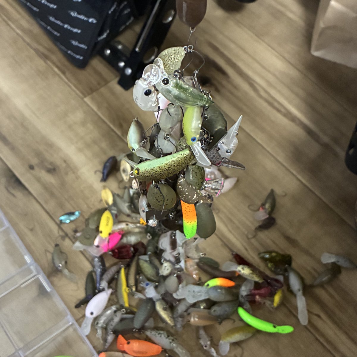 たかいち🎣 tweet media