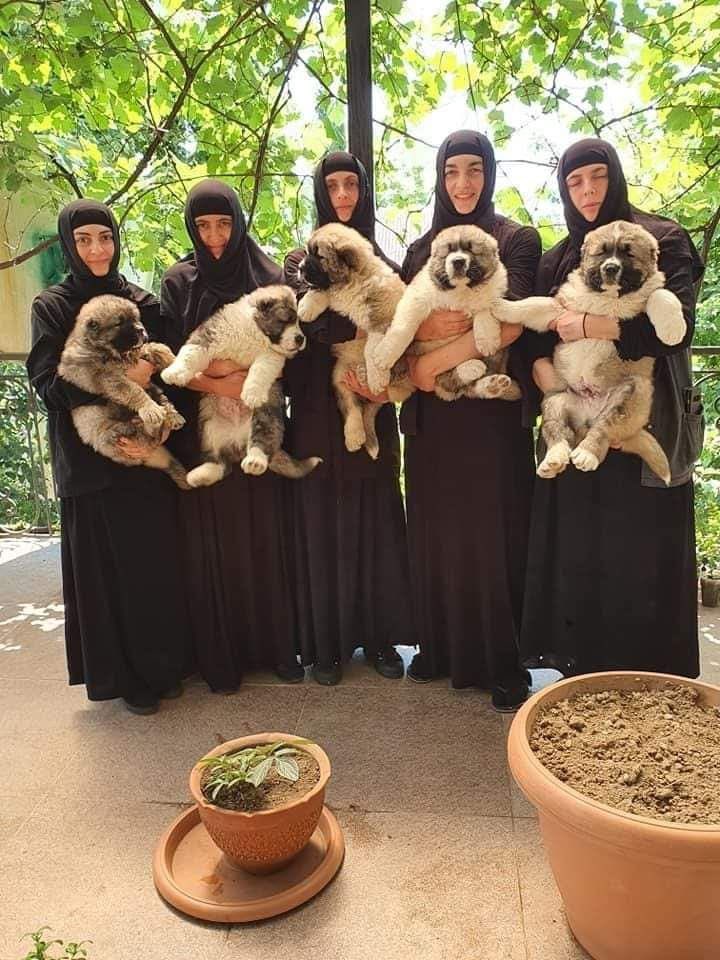 Explorer Of Moments tweet media