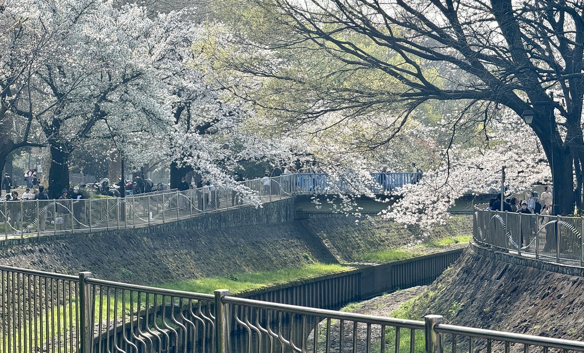 加藤アカツキ tweet media