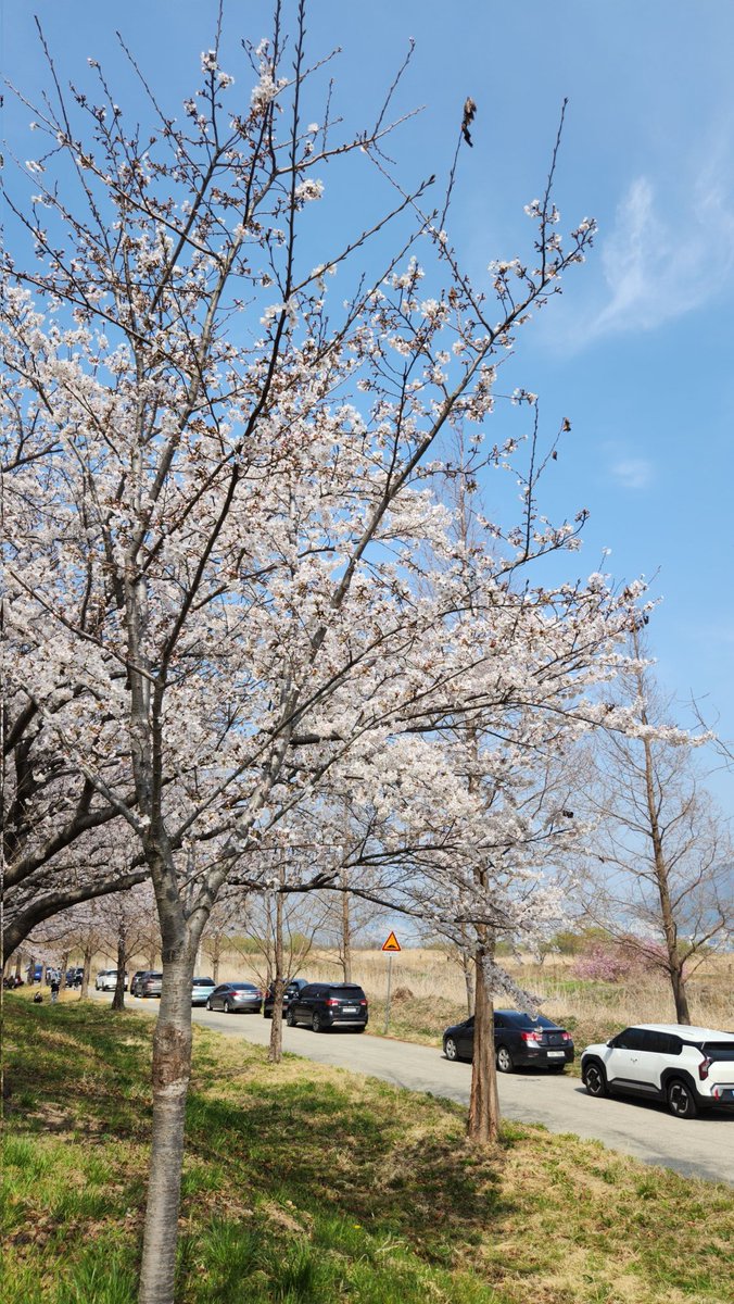 파랑한유(겨울잠)💜🐲 tweet media