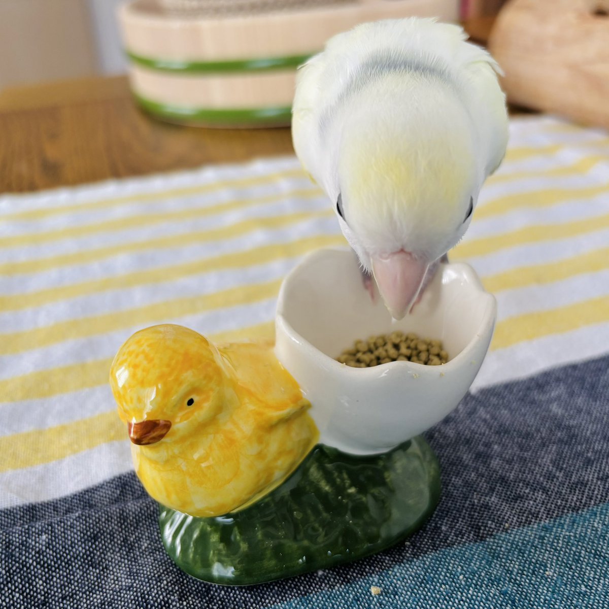 mayumi*🕊 tweet media