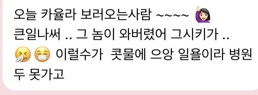 만두이 tweet media