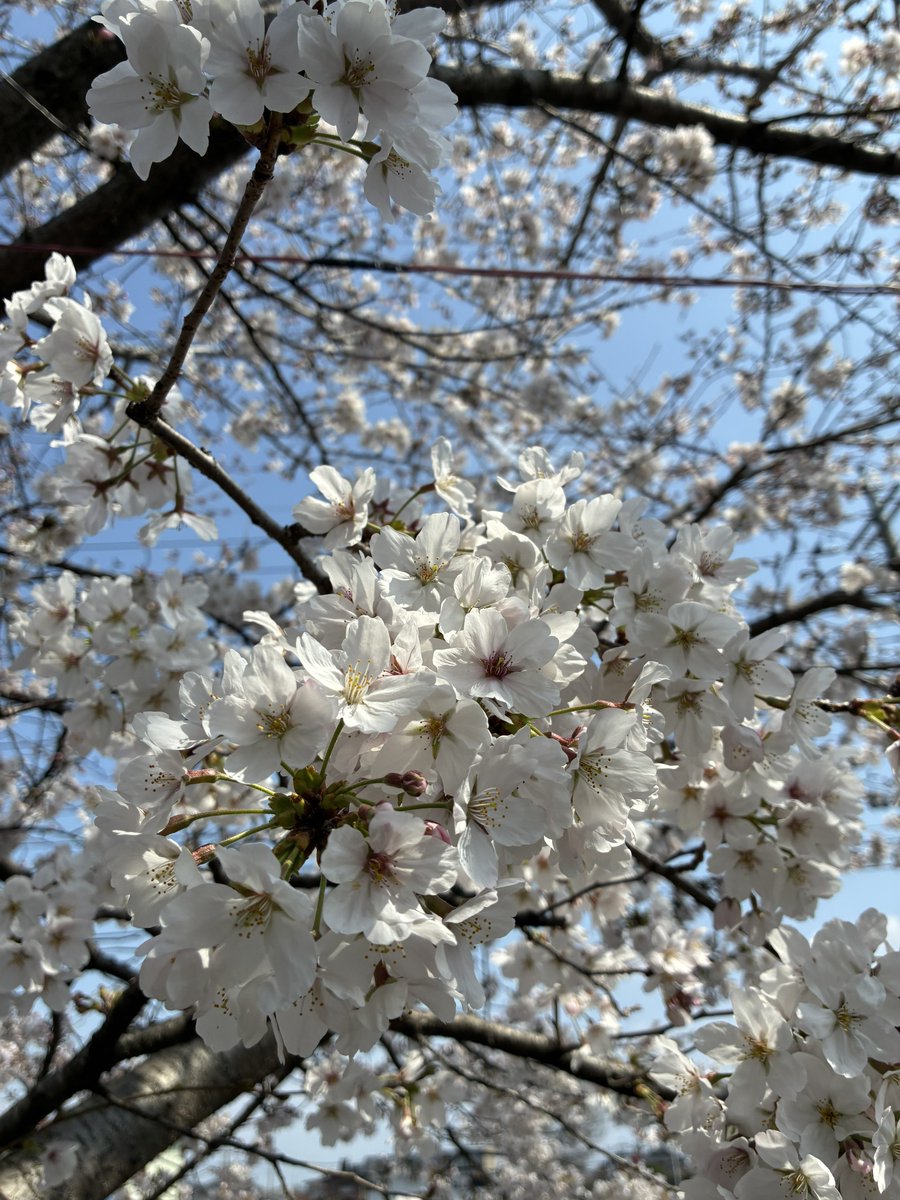 eclipse1228 tweet media