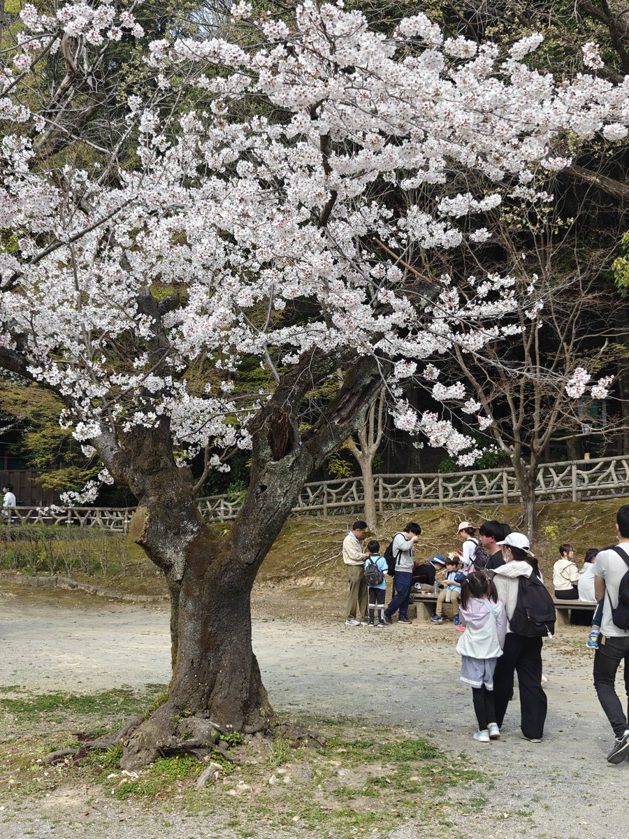 れんちょん💚♥🤍 tweet media