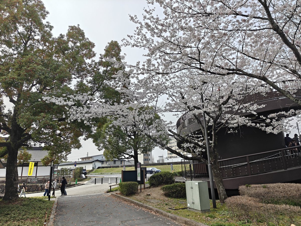 れんちょん💚♥🤍 tweet media