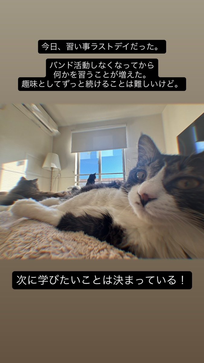 Dai_169's tweet photo. https://t.co/0cEf8uLKni