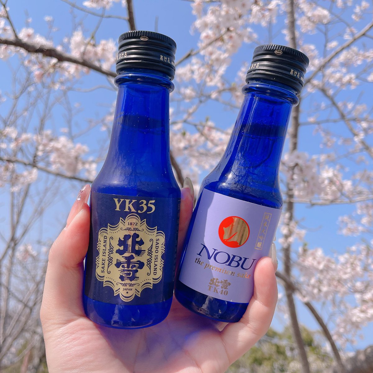 せん田べろ子🍻🍑 tweet media