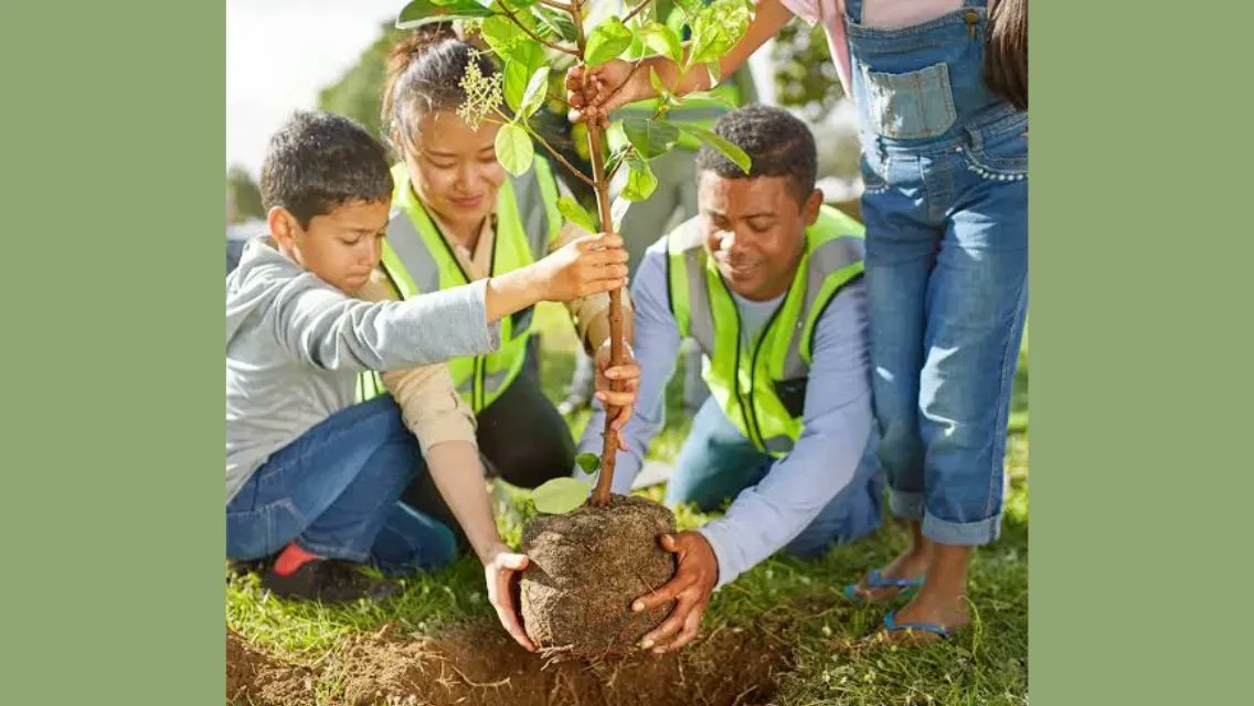 MusaMusaimam78's tweet photo. This image says it all 🌿
It starts with you. Make a difference.

View the post 👉 https://t.co/zUvYTVJiwH
Earn GREEN on ECOX Network while you act:
https://t.co/tYJnB7Ap87

#ECOX #GREEN #ECO_TO_EARN https://t.co/McdB31SBvv