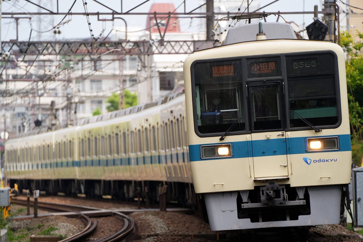 お殿様 tweet media