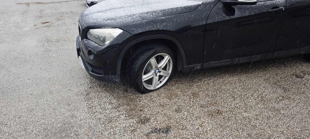 Dejan Petrović tweet media