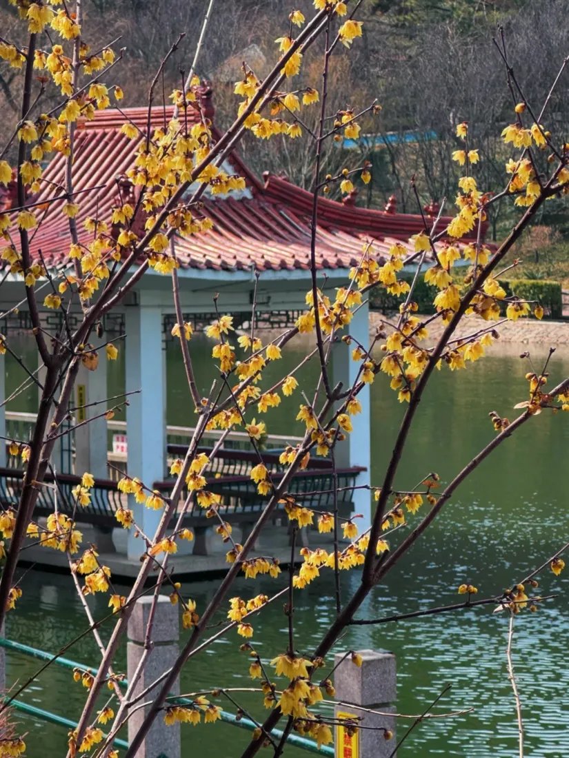 This is Shibei, Qingdao tweet media