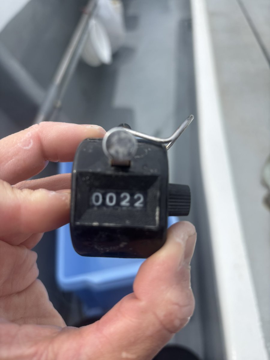 ライダー tweet media