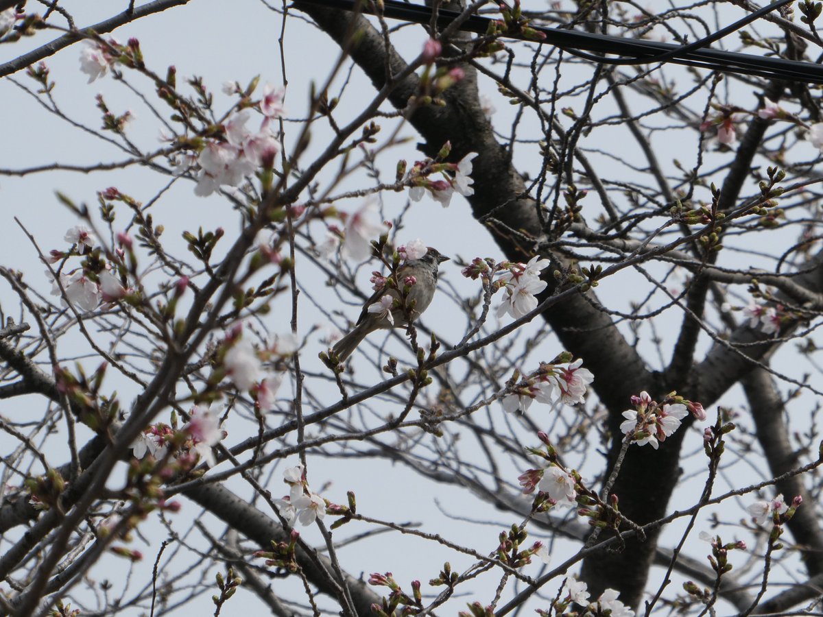 尾州みっちー🎨 tweet media