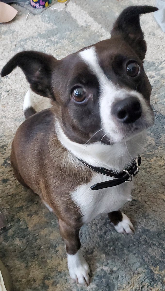 Hobbiekliv tweet media