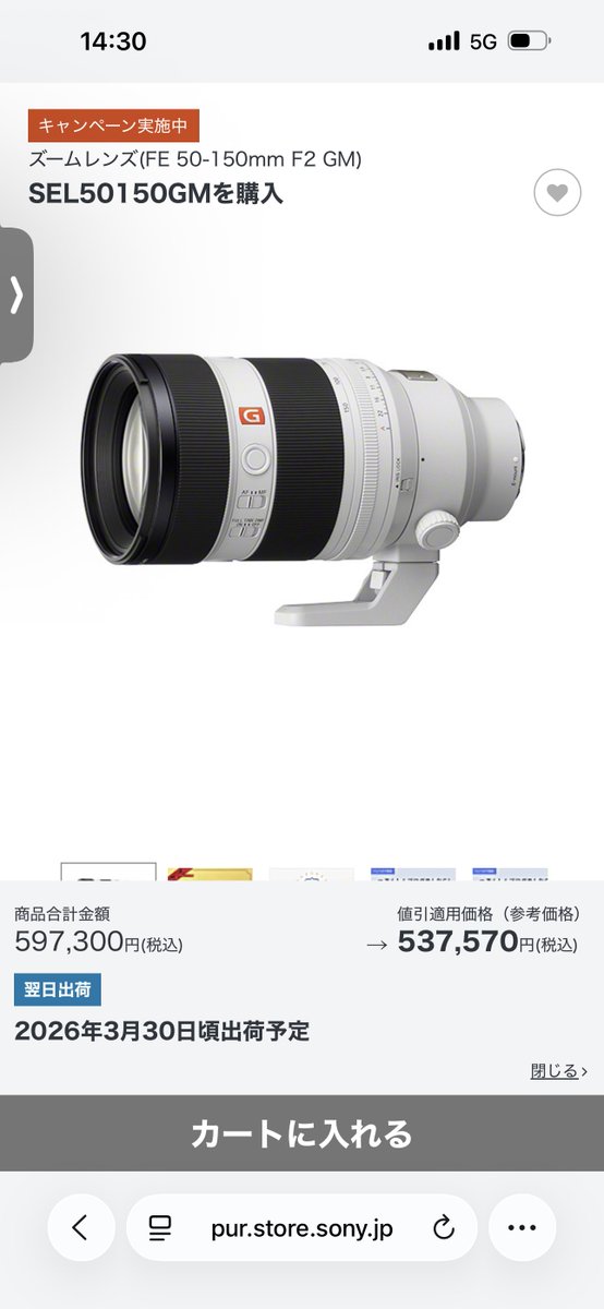 雁木マリ tweet media