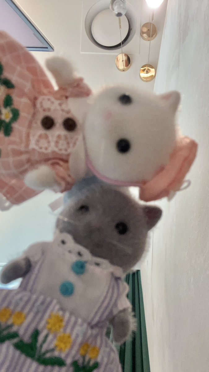 이벨Ivel tweet media