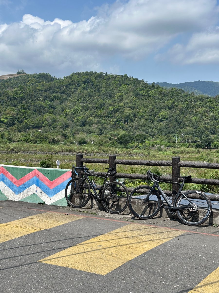 無聊男子🏕⛰🌿 tweet media