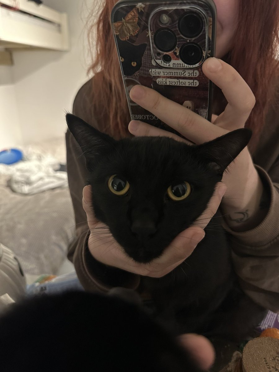 raquel is seing 5SOS again🎃 tweet media