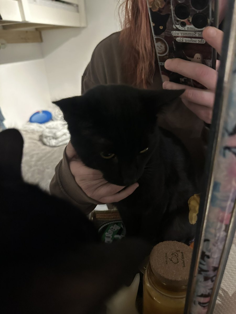 raquel is seing 5SOS again🎃 tweet media