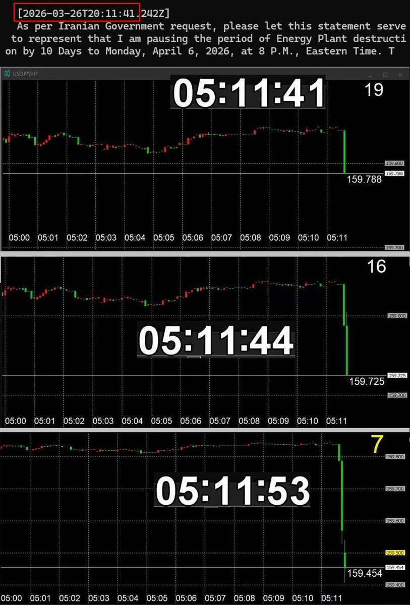 ふさふさ tweet media