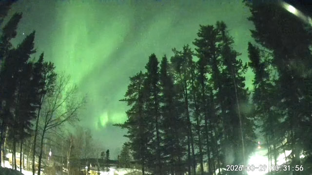 Rj Roldan tweet media