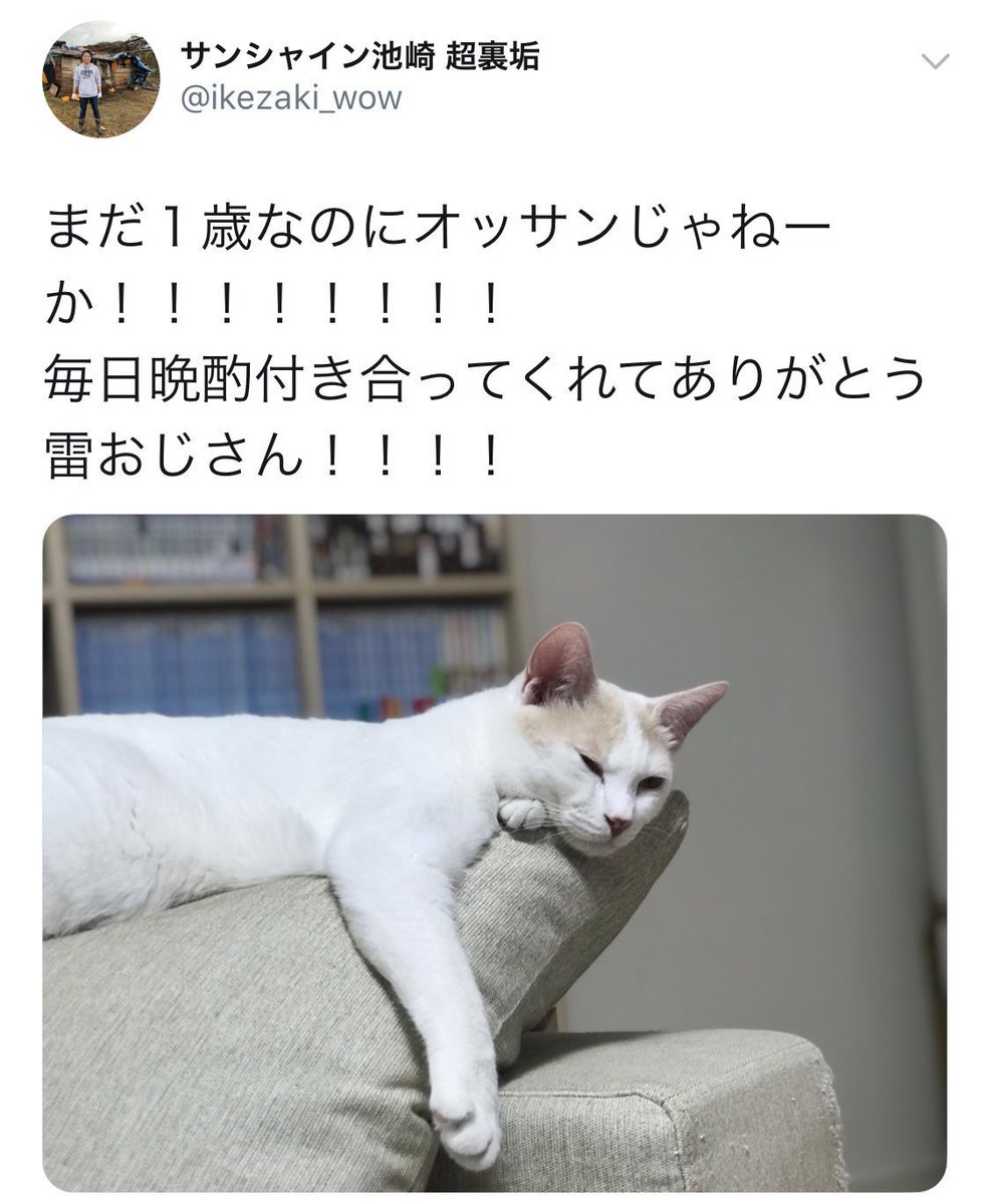 面白ツイート図鑑 tweet media