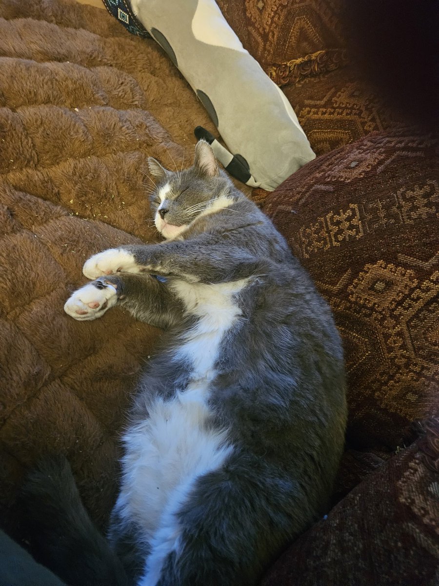 Salty Slug tweet media